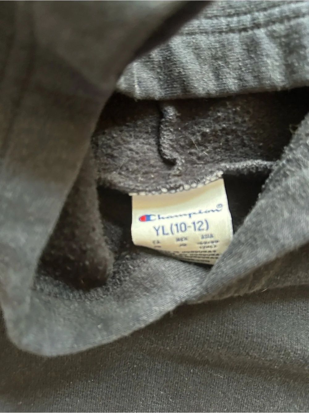Champion, UPENN Hooded Sweatshirt
